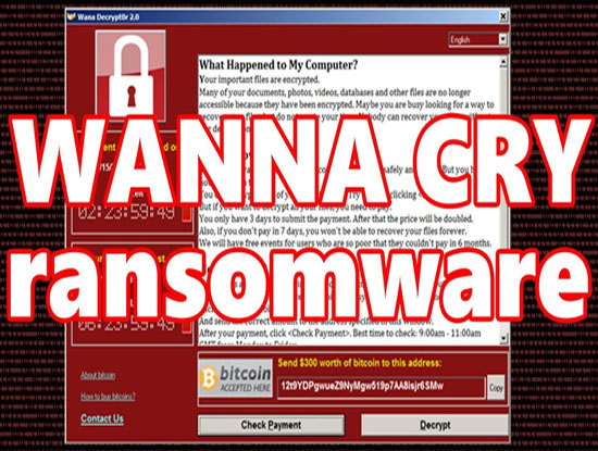52% máy tính ở Việt Nam có thể bị WannaCry tấn công - Ảnh 1