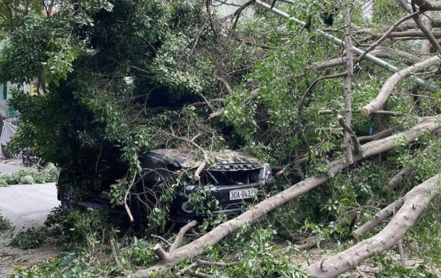 Tai nạn giao thông mới nhất hôm nay 14/4: Cây xanh đổ trúng xe Toyota Fortuner, tài xế thoát nạn - Ảnh 4