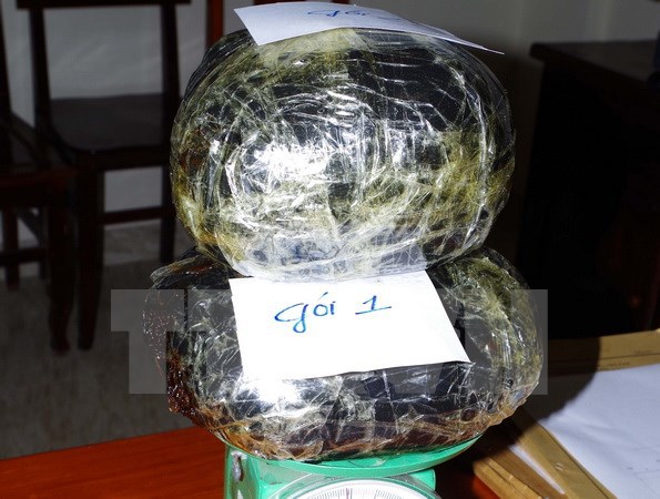Bắt giữ 2 người nước ngoài mang 10kg thuốc phiện vào Việt Nam - Ảnh 1