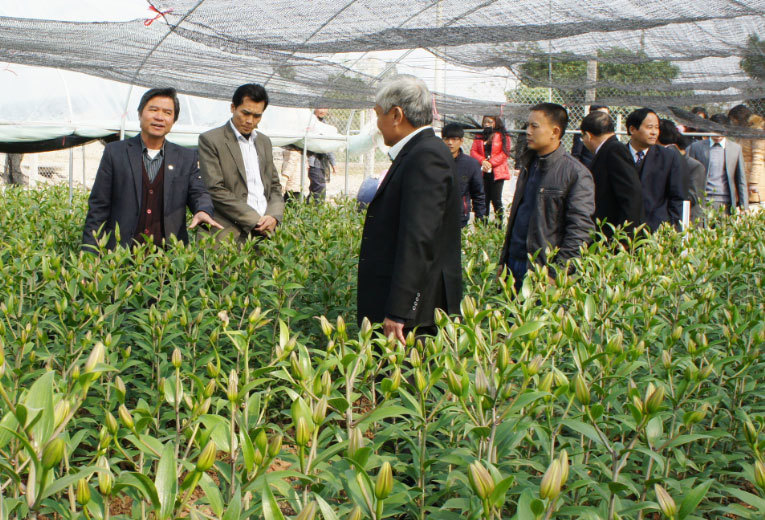 Hà Nội hút vốn vào nông nghiệp công nghệ cao: Tạo quỹ đất sạch cho doanh nghiệp - Ảnh 1
