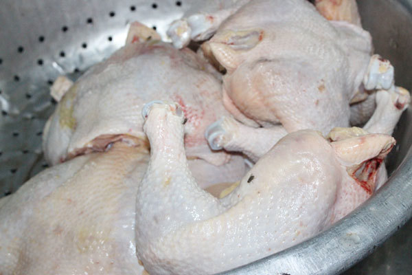 Đề nghị bổ sung hồ sơ kiểm soát giết mổ gần 50kg lườn gà - Ảnh 2
