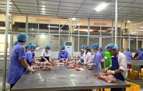Hỗ trợ người chăn nuôi, doanh nghiệp tham gia cấp đông, tạm trữ thịt lợn - Ảnh 1