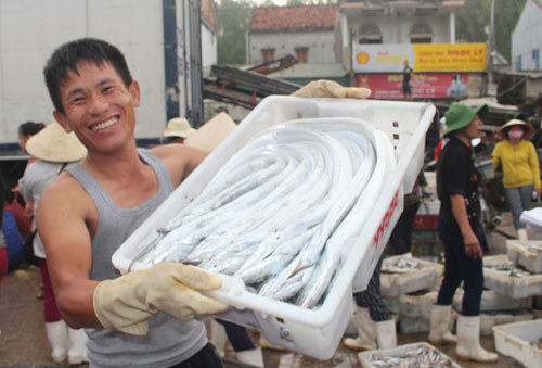Ngư dân Nghệ An trúng mẻ cá hơn một tỷ đồng - Ảnh 2