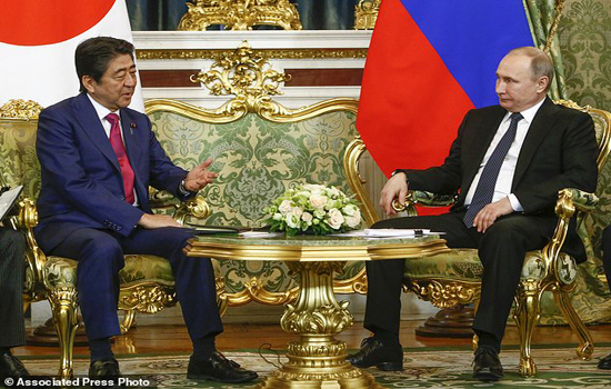Nga, Nhật Bản thảo luận hợp tác kinh tế tại quần đảo Nam Kuril - Ảnh 1