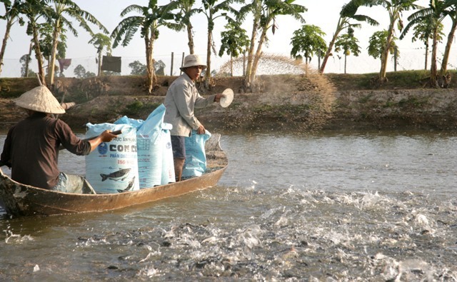 Thủy sản đang được mùa - Ảnh 1