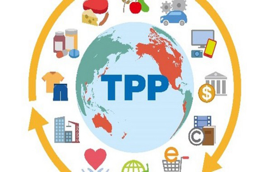 Nhật Bản bổ nhiệm trưởng đoàn đàm phán Hiệp định TPP mới - Ảnh 1