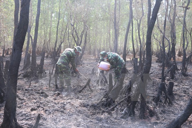 Cháy hơn 36ha rừng tràm do người dân bất cẩn vứt tàn thuốc lá - Ảnh 1