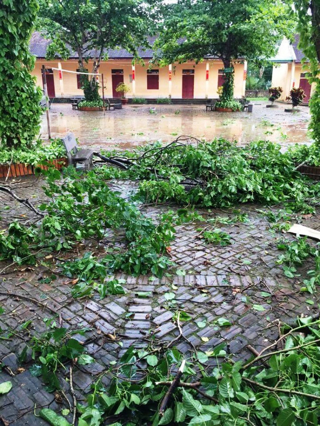 Nghệ An: Lốc lớn kèm mưa đá, nhà sập đè lên 3 mẹ con - Ảnh 2