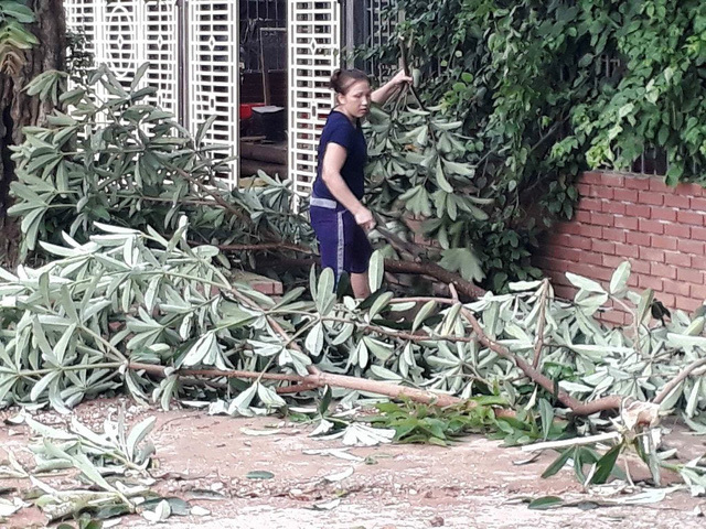 Nghệ An: Lốc lớn kèm mưa đá, nhà sập đè lên 3 mẹ con - Ảnh 8