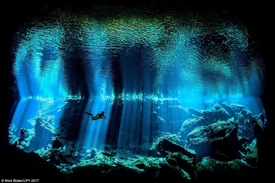 Chiêm ngưỡng khung cảnh ngoạn mục dưới đáy đại dương - Ảnh 1