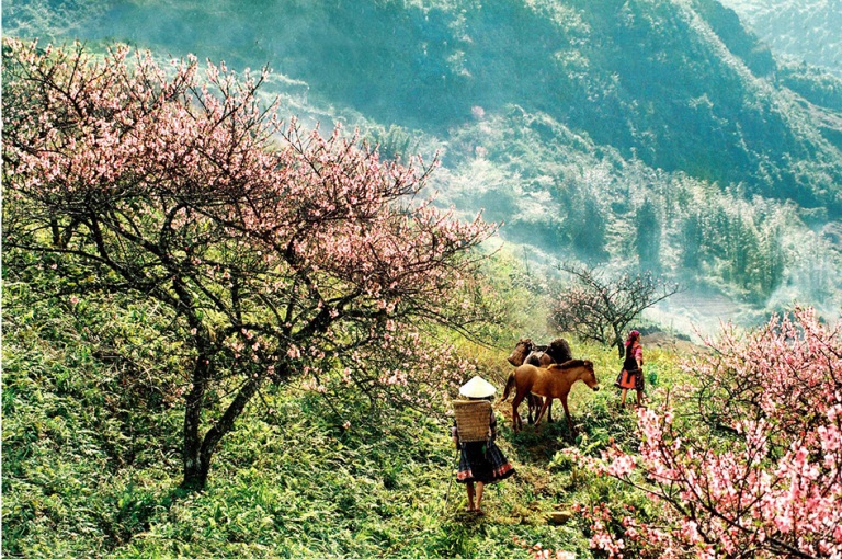 Mùa xuân trên cao nguyên đá Hà Giang - Ảnh 3