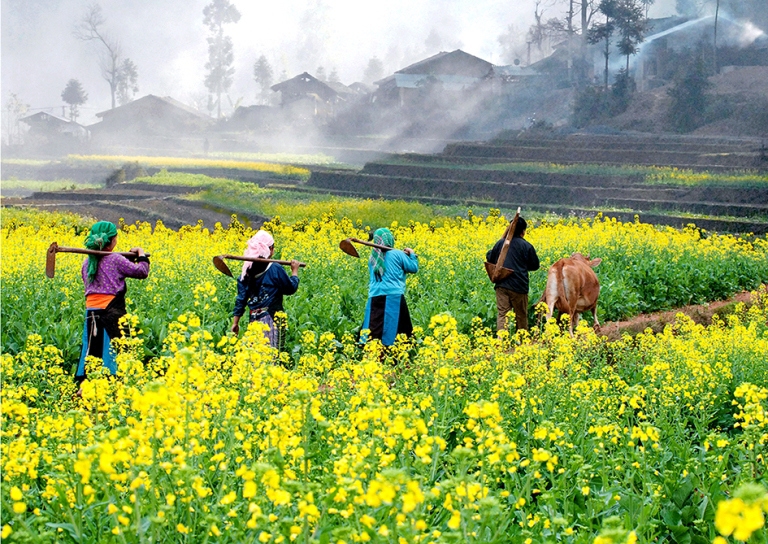 Mùa xuân trên cao nguyên đá Hà Giang - Ảnh 4