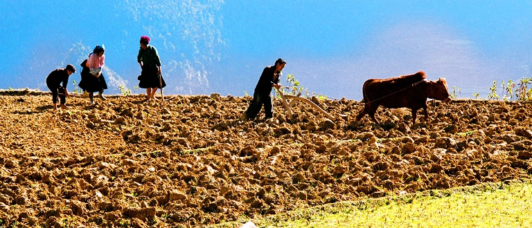 Mùa xuân trên cao nguyên đá Hà Giang - Ảnh 5