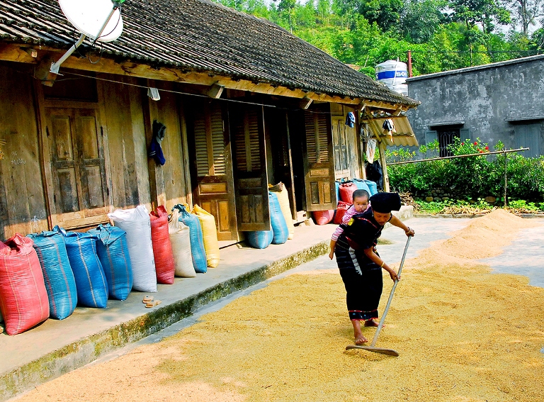 Mùa xuân trên cao nguyên đá Hà Giang - Ảnh 6