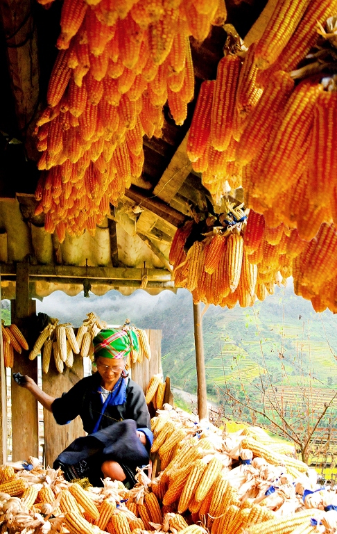 Mùa xuân trên cao nguyên đá Hà Giang - Ảnh 7