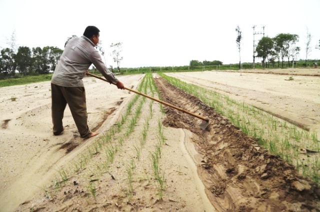 Tái thiết sản xuất cho đồng bào vùng lũ - Ảnh 1