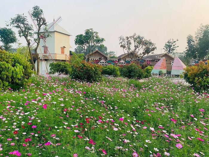 Mê mẩn quên lối về ở các làng nghề trồng hoa Hà Nội - Ảnh 3