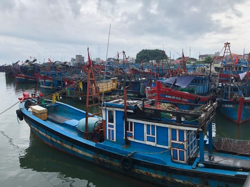 Quảng Ngãi: Hàng trăm ngư dân đối mặt nguy cơ mất nhà - Ảnh 2