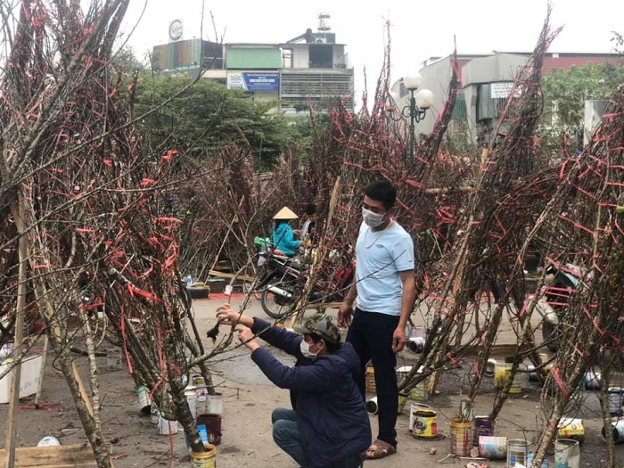 Hà Nội chiều 27 Tết: Đào, quất đại hạ giá tràn ngập đường phố - Ảnh 5