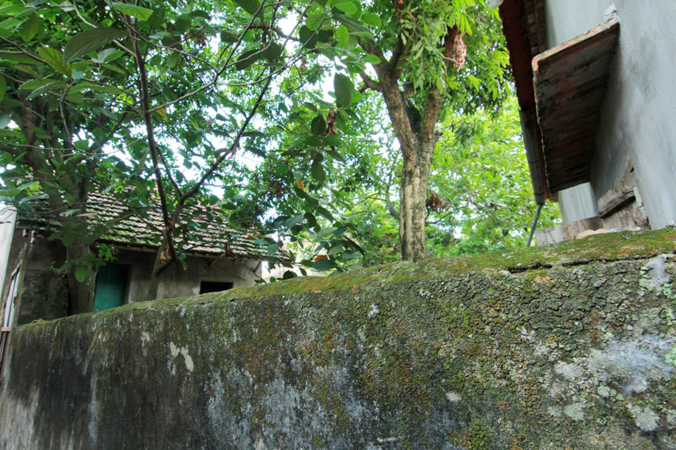 Ngôi làng 500 tuổi ở Hà Nội kích thích sự tò mò - Ảnh 11