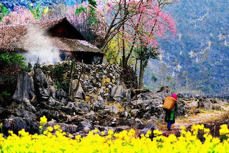 Mùa xuân trên cao nguyên đá Hà Giang - Ảnh 18