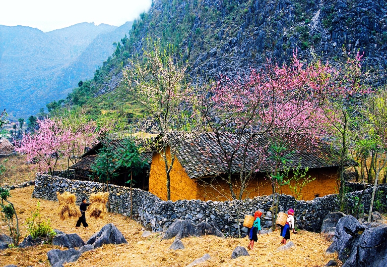 Mùa xuân trên cao nguyên đá Hà Giang - Ảnh 19