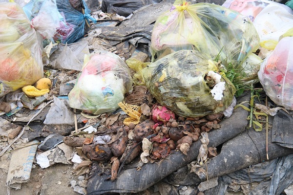 Hà Tĩnh: Hành lang đường mòn Hồ Chí Minh đang trở thành bãi rác - Ảnh 8