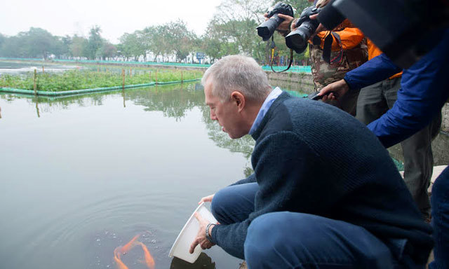 Đón Tết Việt, Đại sứ Mỹ thả cá chép, đi chợ hoa - Ảnh 2