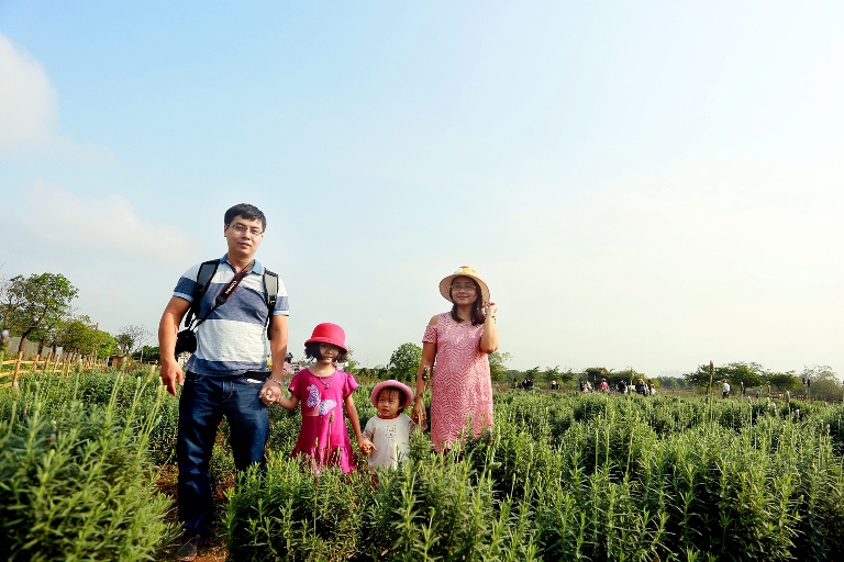 Vườn hoa oải hương rộng gần 1500m2 đẹp mê hồn tại Hà Nội - Ảnh 8