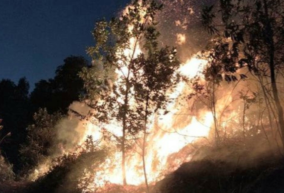 Hà Nội: Cháy lớn khu rừng ở Sóc Sơn, hàng trăm người nỗ lực dập lửa - Ảnh 1