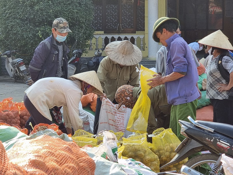 Bộ Công Thương nỗ lực tháo gỡ khó khăn cho nông sản Hải Dương - Ảnh 1