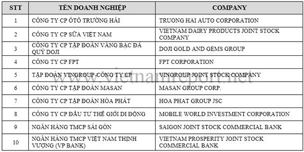 Công bố xếp hạng top 500 doanh nghiệp lớn Việt Nam năm 2016 - Ảnh 2