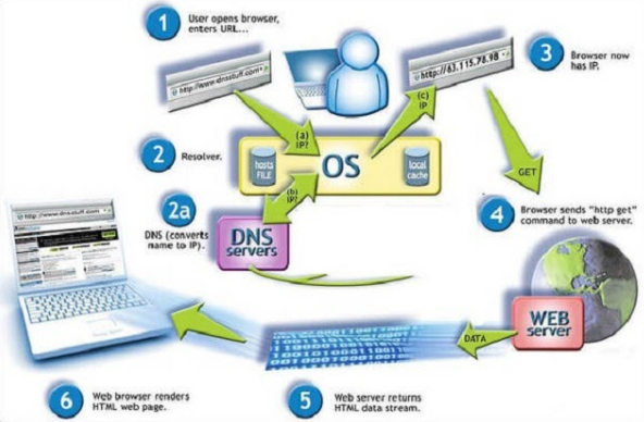 Domain Name System là gì? Cách thức hoạt động của DNS - Ảnh 2