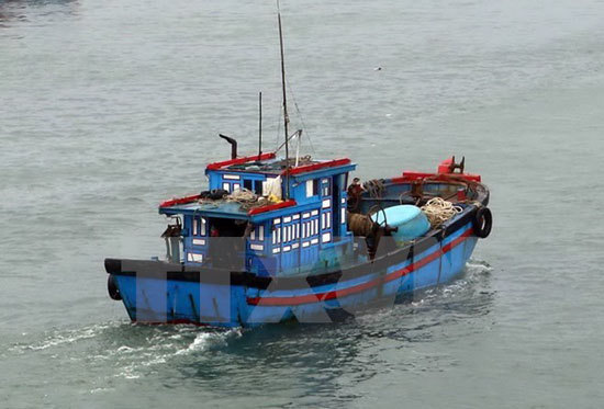 Đề nghị cho 29 tàu cá vào tránh bão tại Philippines và Indonesia - Ảnh 1