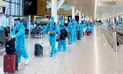 Hải Phòng xác định 41 người đi trên chuyến bay có bệnh nhân tái dương tính SARS-CoV-2 - Ảnh 1
