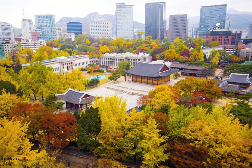 Trải nghiệm sắc màu Hàn Quốc, Nhật Bản… ngay tại Thủ đô - Ảnh 1