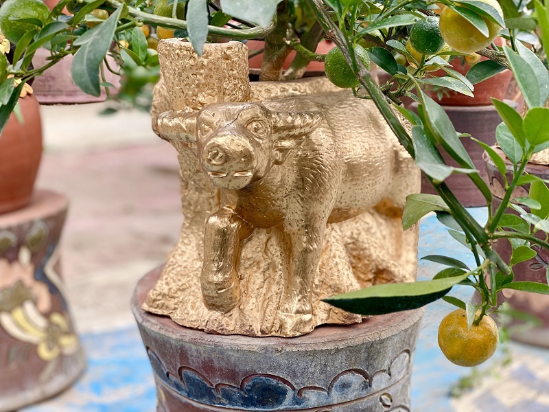 Trâu vàng cõng quất bonsai sẵn sàng cho dịp Tết Tân Sửu 2021 - Ảnh 3