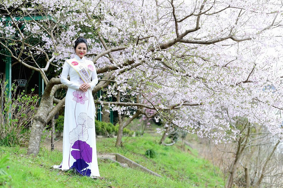 Doanh nhân Việt diện áo dài rực rỡ bên hoa anh đào Nhật Bản - Ảnh 2