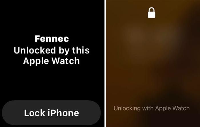 Bản thử nghiệm iOS 14.5 có thể mở khóa iPhone bằng Apple Watch - Ảnh 6