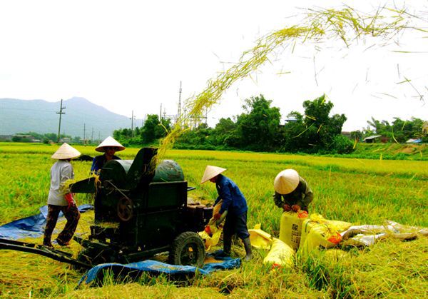 Phấn đấu cả nước có ít nhất 31% xã nông thôn mới - Ảnh 1