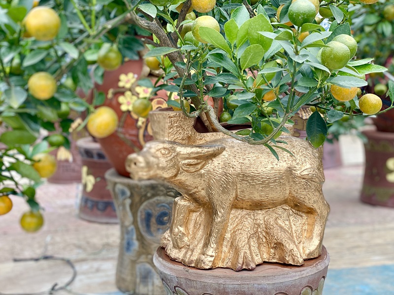 Trâu vàng cõng quất bonsai sẵn sàng cho dịp Tết Tân Sửu 2021 - Ảnh 8