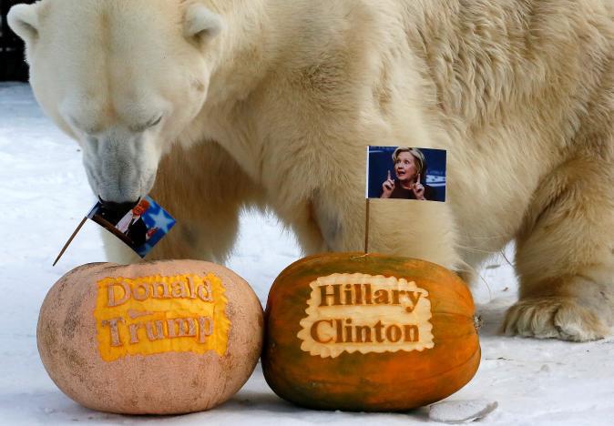 Bầu cử Tổng thống Mỹ: Dự báo cuối cùng bà Hillary sẽ thắng - Ảnh 4