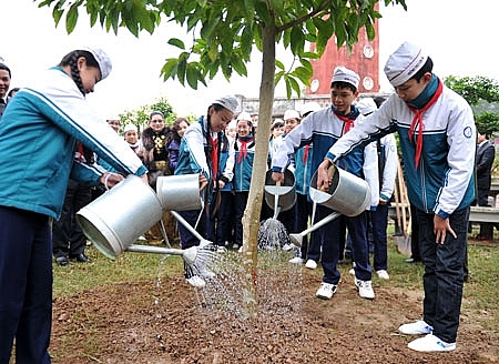 Năm 2021, Hà Nội phấn đấu trồng mới khoảng 200.000 - 250.000 cây bóng mát - Ảnh 1