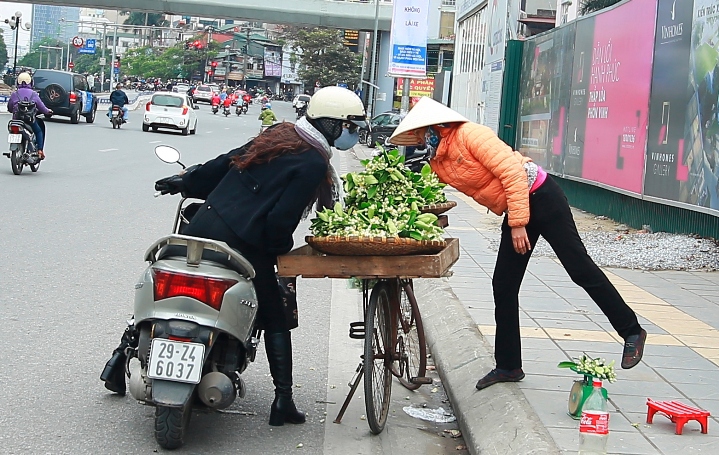 Hoa bưởi ngát hương khắp phố phường Hà Nội - Ảnh 9