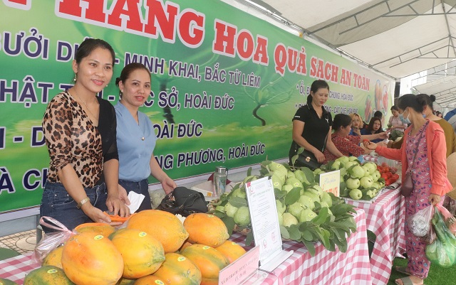 Cán bộ, hội viên phụ nữ Hà Nội: Chung tay chống thực phẩm bẩn - Ảnh 1