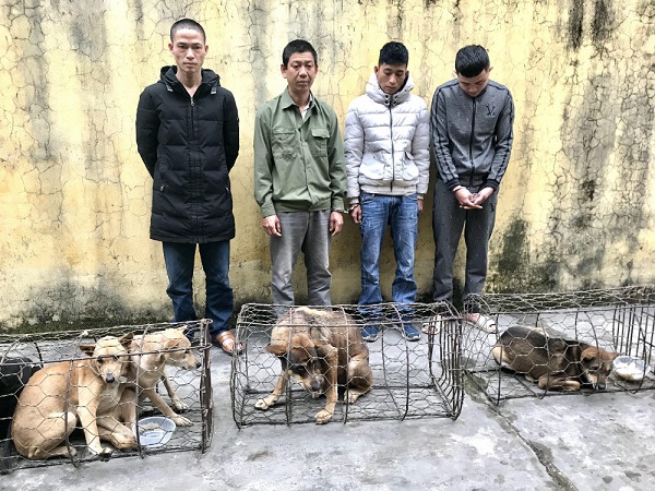 Hà Tĩnh: Gây ra hàng chục vụ trộm chó trên địa bàn, 4 đối tượng bị bắt giữ - Ảnh 1