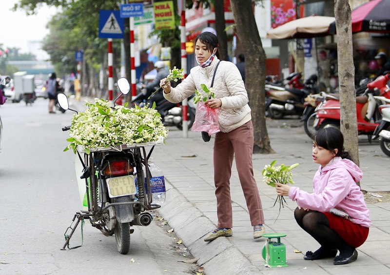 Hoa bưởi ngát hương khắp phố phường Hà Nội - Ảnh 11