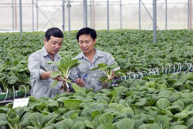 Cả nước mới có 46 doanh nghiệp nông nghiệp công nghệ cao - Ảnh 1