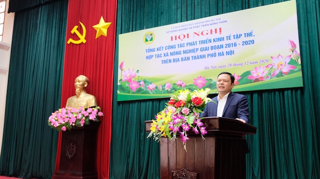 Hà Nội: Số hợp tác xã nông nghiệp thành lập mới vượt gần 1,8 lần chỉ tiêu - Ảnh 2