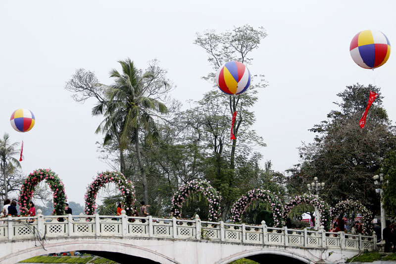 300 loài Hoa hồng vẫy gọi du khách đến công viên Thống Nhất - Ảnh 21